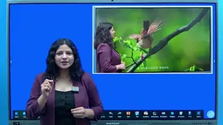 Meet the Interactive Flat Panel — SNL IFP demo chapter