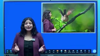4K Display — SNL IFP demo chapter