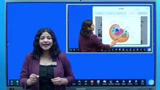 Split-Screen Teaching — SNL IFP demo chapter