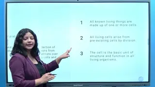 Board Color, Theme & Image Editing — SNL IFP demo chapter